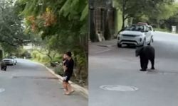 Dünya Kupalı yıldızı evinin önünde ayı kovaladı
