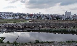 İstanbul'un ortasında korkunç görüntü: Dere siyahlaştı, bölgeye lağım kokusu yayılıyor