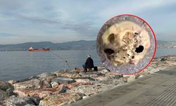 İzmir'de korkunç olay: Oltasına takıldı, hemen ekipleri aradı