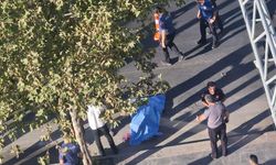 Kaldırımda yürürken feci son! Hayatını kaybetti