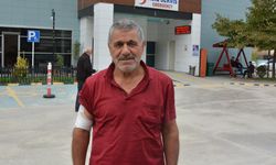 Kastamonu'da ayı saldırısı! Kaçarken yamaçtan düştü