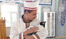 Kedileri leğende yıkayan imam hayvan sevgisiyle örnek oluyor