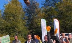 Kokarca istilasına karşı sülün kuşları doğaya salındı
