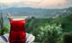 Lipton yaş çay işleme tesislerini Özgür Çay'a devrediyor!