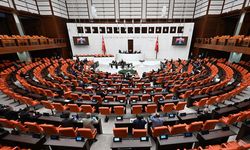 Meclis'e sunuldu! Bebeklere ücretsiz olacak