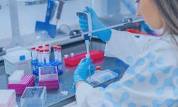 Memişoğlu'ndan yönetmelik açıklaması: Dünyaya örnek olacak yeni bir dönemi başlatıyoruz