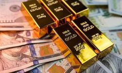 Merkez Bankası rezervlerinde yeni zirve