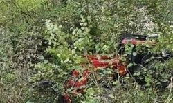 Ordu'da feci kaza! Şarampole devrilen traktörün sürücüsü öldü