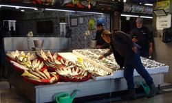 Palamut sezonu başlamadan bitti!