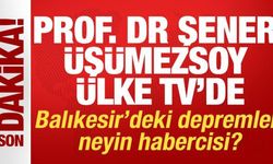 Prof. Dr. Şener Üşümezsoy: Sındırgı'da iki fay kırıldı, sıcak su vanası açıldı
