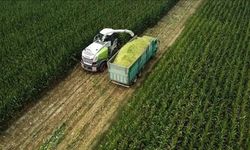 Tarıma yönelik hazine destekli finansmana ilişkin limitler düzenlendi