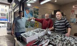 Trabzon'da balıkçı tezgahlarında istavrit ilgi görüyor!