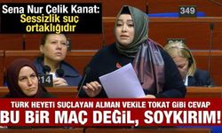 Türk heyetini suçlamaya kalkan Alman vekile tokat gibi cevap: Bu bir maç değil, soykırım