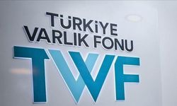 Türkiye Varlık Fonu'nun girişim ekosistemine sağladığı destek 100 milyon doları aştı