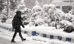 Ukrayna soğukları Türkiye'yi vuracak! Meteoroloji uyardı: lapa lapa kar geliyor