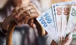 Yapanın emekliliği anında İPTAL EDİLİYOR! Maaşların tamamı geri alınıyor