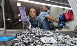 Yaz sıcakları palamudu vurdu, yerini hamsi aldı