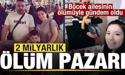 2 milyarlık ölüm pazarı! Böcek ailesinin ölümünün ardından gündem oldu