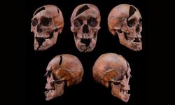 750 yıllık kraliyet entrikası çözüldü!