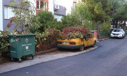 8 yıldır park halindeki otomobili sarmaşıklar sardı