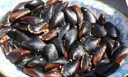 Aile faciası: Ortaköy'de midye yiyen 2 çocuk hayatını kaybetti, baba entübe edildi!