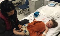 Ankara'da pitbull 2 çocuğa saldırdı