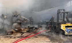 Antalya'da korkutan yangın! Zarar 10 milyon TL