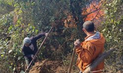 Artvin'de örtü yangını ormana yayıldı