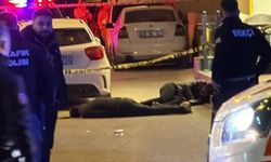 Avukat, tartıştığı otel sahibi baba ile oğlunu öldürdü