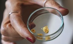 Balık kılçığı yüksek kaliteli kolajene dönüştürüldü