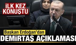 Başkan Erdoğan'dan son dakika Selahattin Demirtaş açıklaması