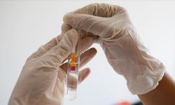 Beyin kanserine karşı geliştirilen yeni yöntem heyecan yarattı