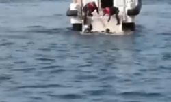 Beykoz'da dehşet! Balık tutanların oltasına ceset takıldı