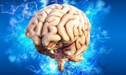 Bilim dünyası bu araştırmayı konuşuyor! Ergenlik yaşı 32'ye çıktı