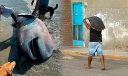 Bilim dünyası için servet değerindeydi! Endemik balık üç dakikada fileto oldu!