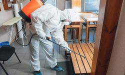 Böcek ailesinin ölümünde gözler oraya çevrildi: 3 şirketten biri kayıtdışı!