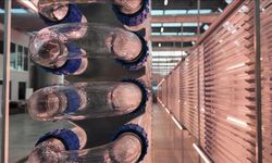 Boğaziçi Üniversitesi mikroalg temelli biyopestisit geliştirecek