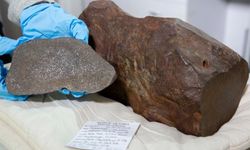 Bulduğu taşı altın sandı! Çok daha değerli çıktı