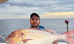 Çanakkale'de balıkçıların ağına 12 kilogramlık mercan takıldı