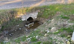 Çanakkale'de göbek bağı kurumamış bebek cesedi bulundu