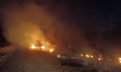 Çemişgezek'te otluk alanda yangın