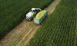 Çiftçilere 1,5 milyar liralık tarımsal destekleme ödemesi bugün yapılacak