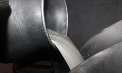 Çiğ inek sütünün 'C Sınıfı'ndaki yağ değerlerinde değişiklik yapıldı