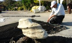 Denizin dibinden gelen sır! Giresun'da bulunan cisim balıkçıları şaşırttı