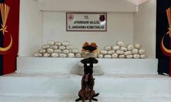 Diyarbakır'da uyuşturucu operasyonu: 25 şüpheli yakalandı