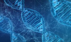 DNA'nın yapısını keşfeden Nobel Ödüllü bilim insanı James Dewey Watson hayatını kaybetti