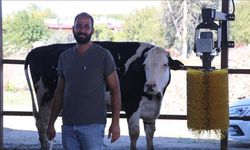 e-Devlet'ten başvuru yaptı, süt çiftliği sahibi oldu!