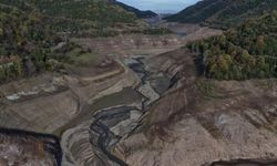 Ekim yağışları yetmedi! İstanbul'da barajlar alarm veriyor