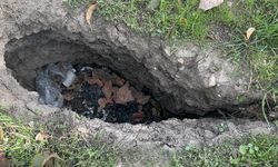 Elma bahçesinde endişelendiren olay! Evlerin duvarları çatladı