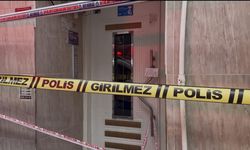 Esenyurt'ta tahta kurusu 7 kişiyi canından ediyordu: Böcek ilacından zehirlendiler